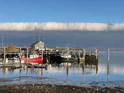 harbor cloud Photo: Don Maki