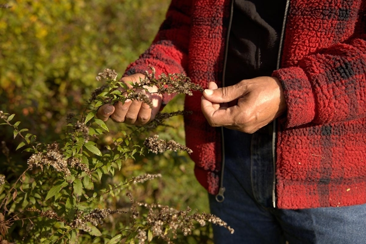 A New Resource to Support Rural Black Landowners