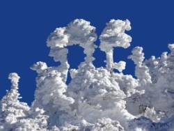 Snow Photo: Shari Larsen