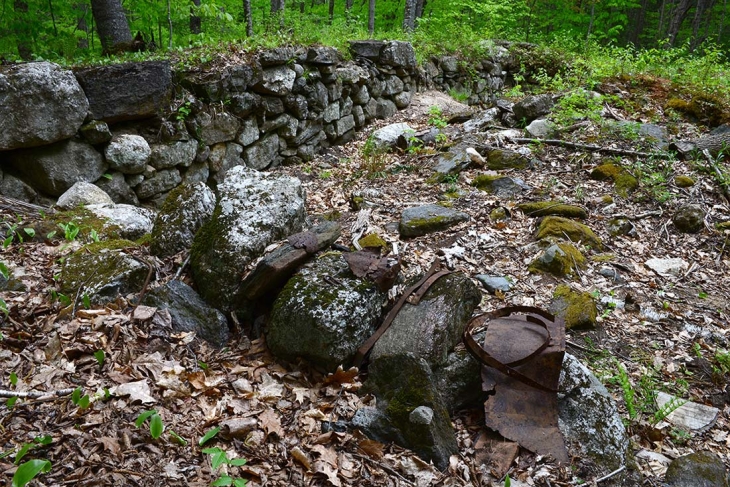 Stone Records in a Rewilding Landscape