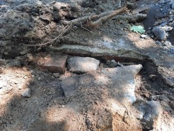 Path layers Photo: Emily S. Rowe