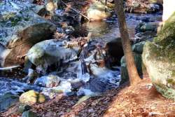 Winter stream Photo: Stephen Fox