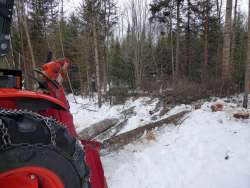 Sawlog harvest Photo: Gordon Gould