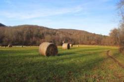Hay Rolls Photo: John Blaser