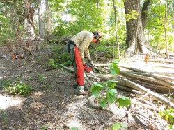 Woven Sculpture and Meadow Restoration Go Hand in Hand Photo: Greater Worcester Land Trust