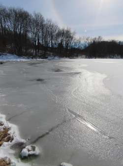 Otter tracks Photo: Linda Spielman