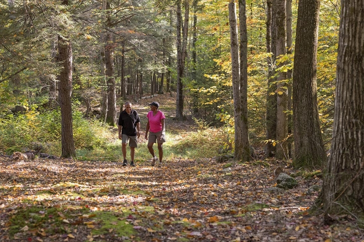 A New Resource to Support Rural Black Landowners