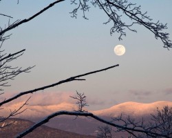 Snow Moon Orchard Photo: AM Dannis