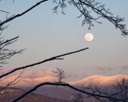 Snow Moon Orchard Photo: AM Dannis