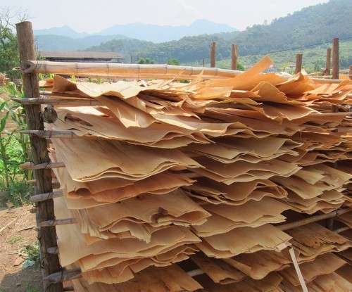 Poplar Veneer Drying