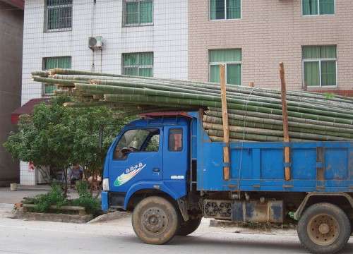 Bamboo on Truck