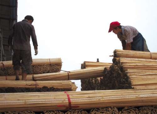 Bamboo workers