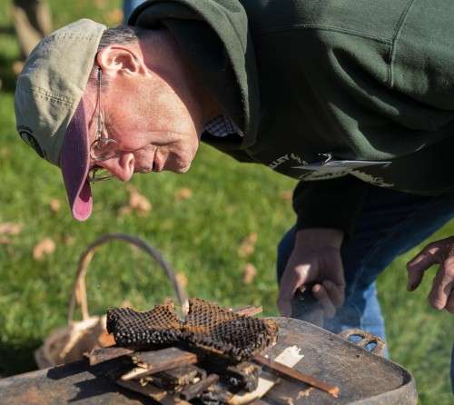 Tom Seeley burning honey