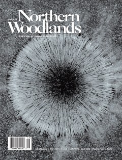 Cover of Northern Woodlands magazine winter 2019