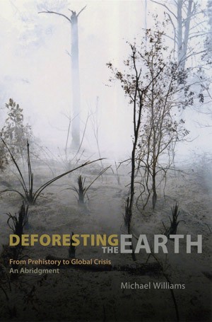 Deforesting_the_Earth_cropped.jpg