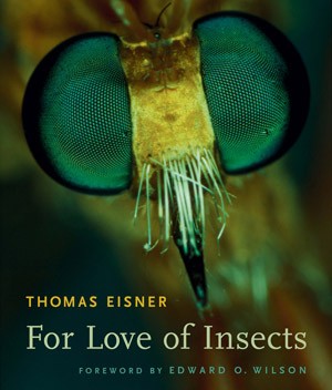 For Love of Insects thumbnail