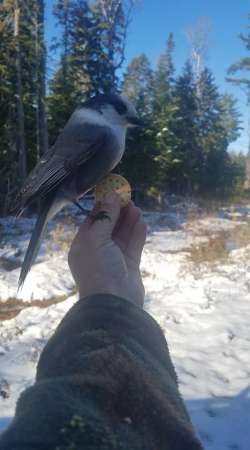 A Bird in Hand Photo: Lonnie Jandreau