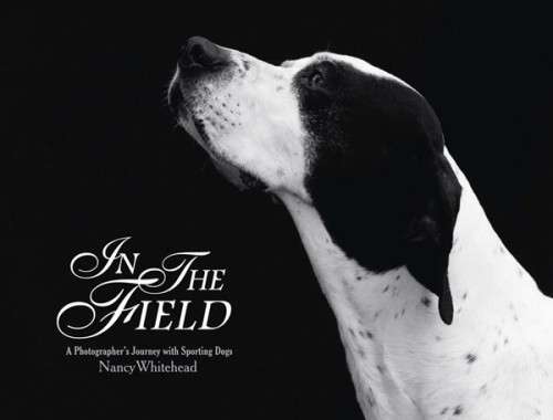 In_the_Field_Cover-Kashino_Design.jpg