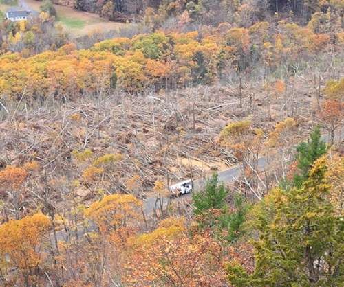 Mount-Tom-Microburst-Forest-Damage-web.jpg