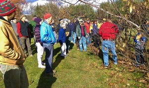 Planting Hope for a New American Chestnut thumbnail