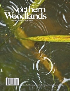 Cover of NW_SPR17_COVER_web.jpg