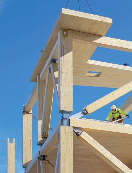 Cross Laminated Timber 3