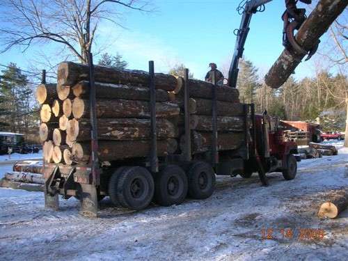 Logs on Truck