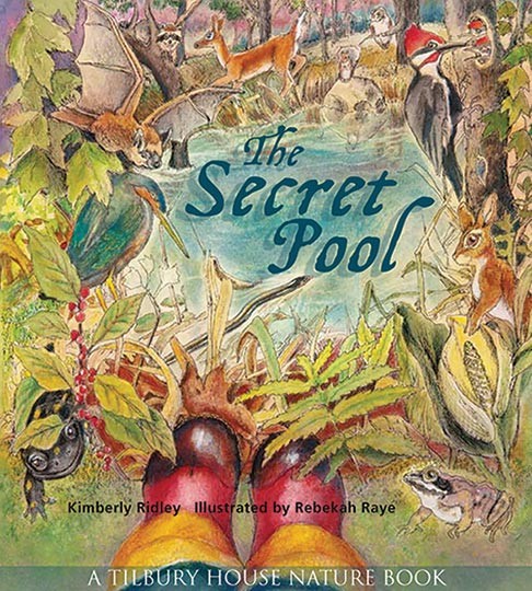 Secret-Pool_cover.jpg