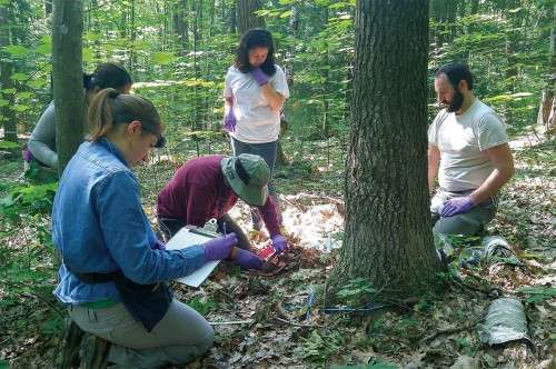 Soil Sampling