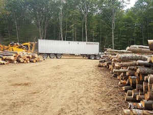 Field Work: At Work Logging with the Taylor Family thumbnail