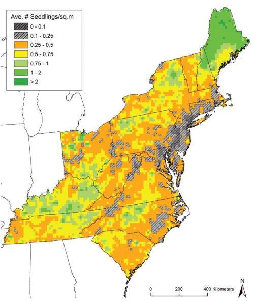 Tree Seeding Densities