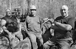 Portrait of a Forest: Men and Machine thumbnail