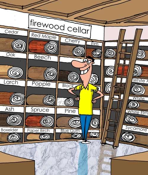 Firewood Aficionado 2