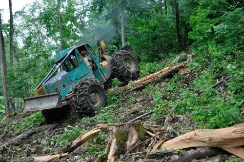 Logging Mad River Glen