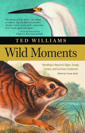 Wild Moments thumbnail