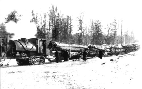 Logging train