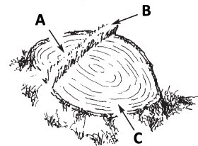 Bore Cutting Basics