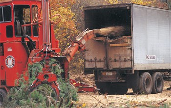 A Forest Full of Energy: Wood Grows as a Major Fuel in the Northeast thumbnail