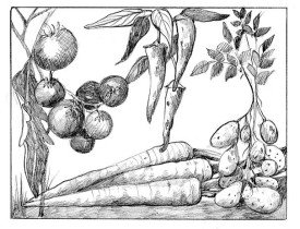 agriculture.jpg thumbnail