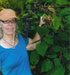 alan_pistorius_image800.jpg thumbnail