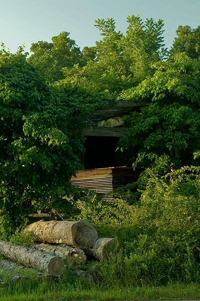 An Industrial Place Turned Green | Summer 2014 | Articles | Features