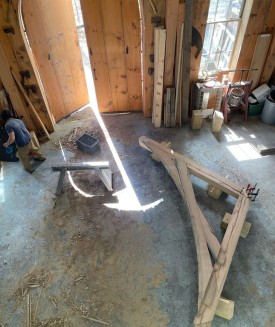 ancient_timbers_1.jpg thumbnail