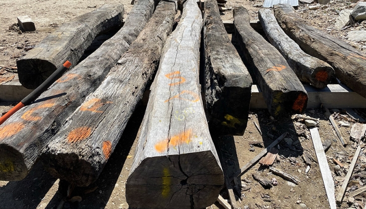 Framing with Ancient Timbers: Scribing Together History