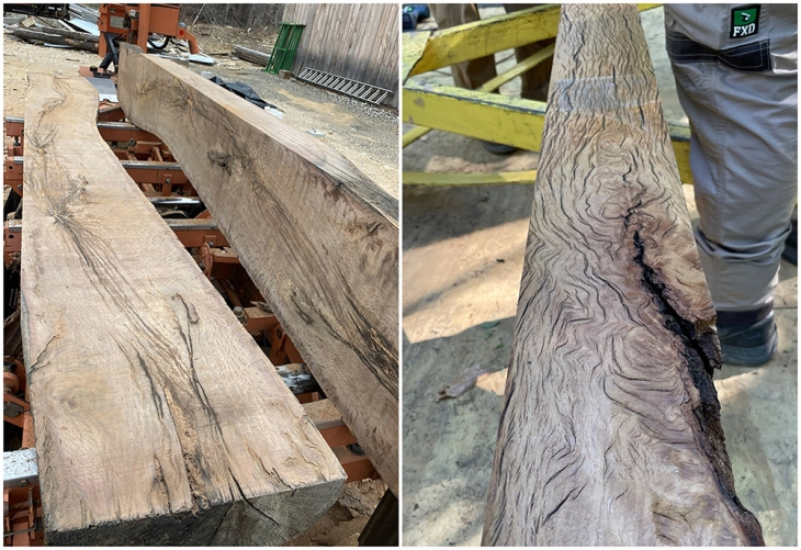 Framing with Ancient Timbers: Scribing Together History