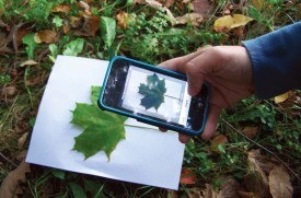 Not Your Grandma's Field Guide thumbnail