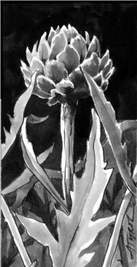 Artichoke1.jpg thumbnail