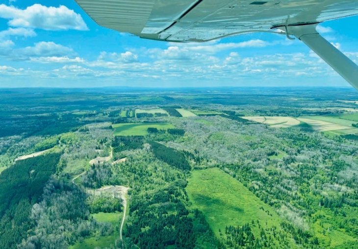 A Bird’s-Eye View of Forest Health