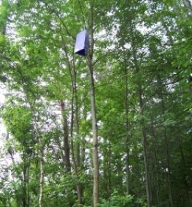 Aug14_contest_pic_400.jpg thumbnail