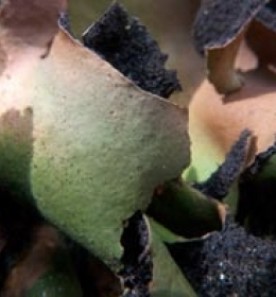 Aug2109_contest_pic_400.jpg thumbnail