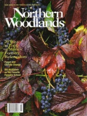 Photo by A. Blake Gardner Autumn 2000 Cover